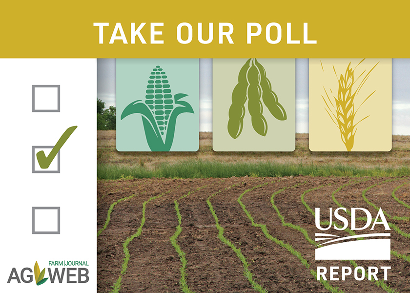 Take Our Poll USDA's Prospective Plantings Estimates AgWeb